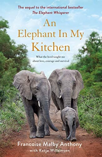 An-Elephant-in-My-Kitchen-0